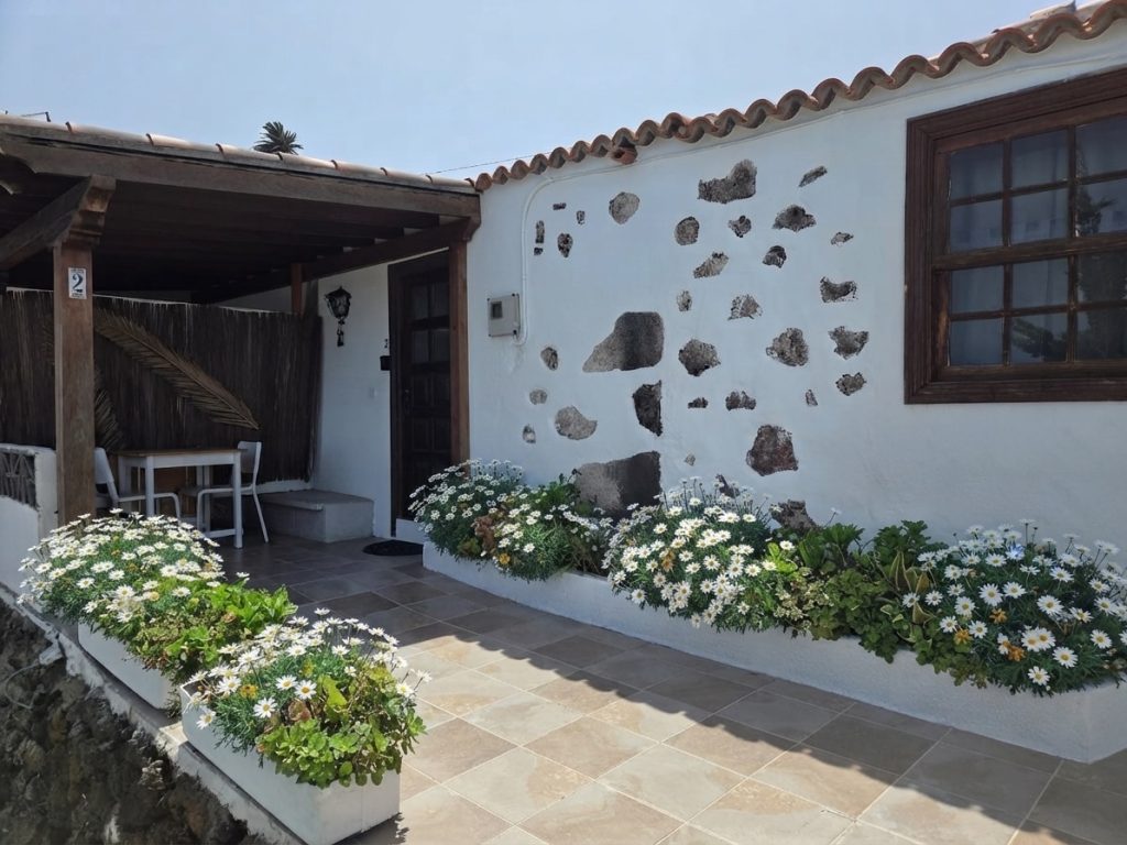 casa el olivo de mazo 2
