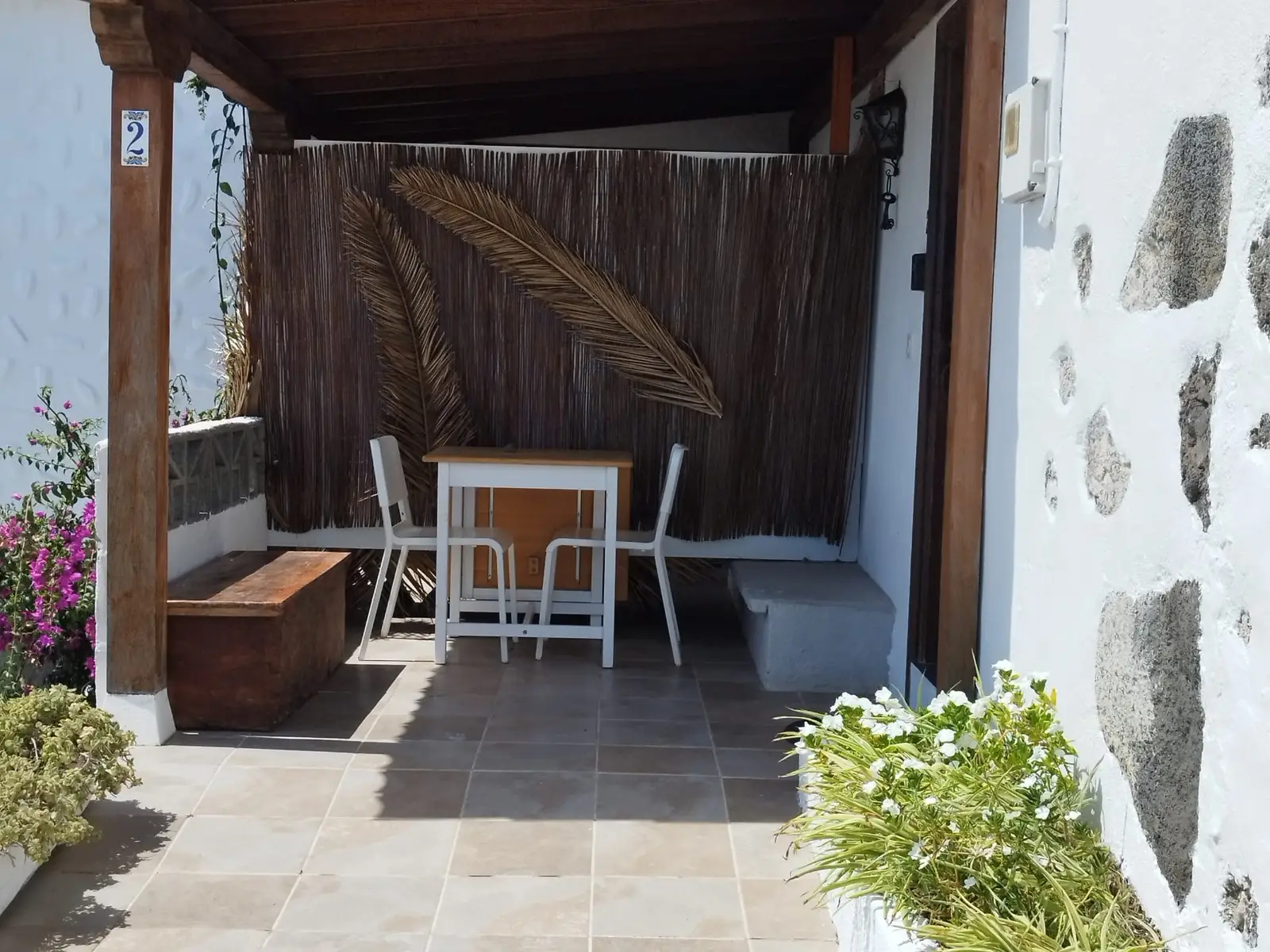Entrada al olivo de mazo 2