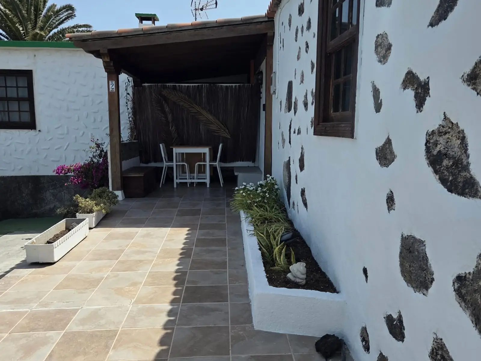 terraza el olivo de mazo 2
