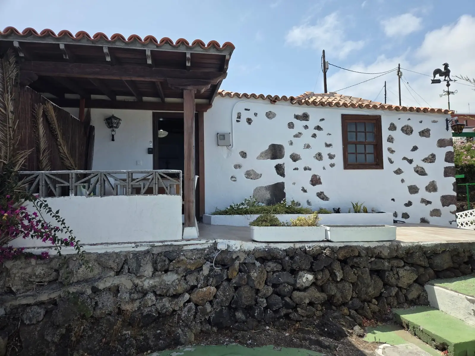 vista del olivo de mazo 2